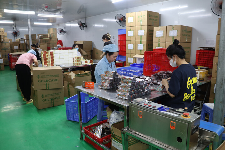 Triệt phá đường dây thực phẩm chức năng giả quy mô lớn tại Quảng Ninh- Ảnh 2.