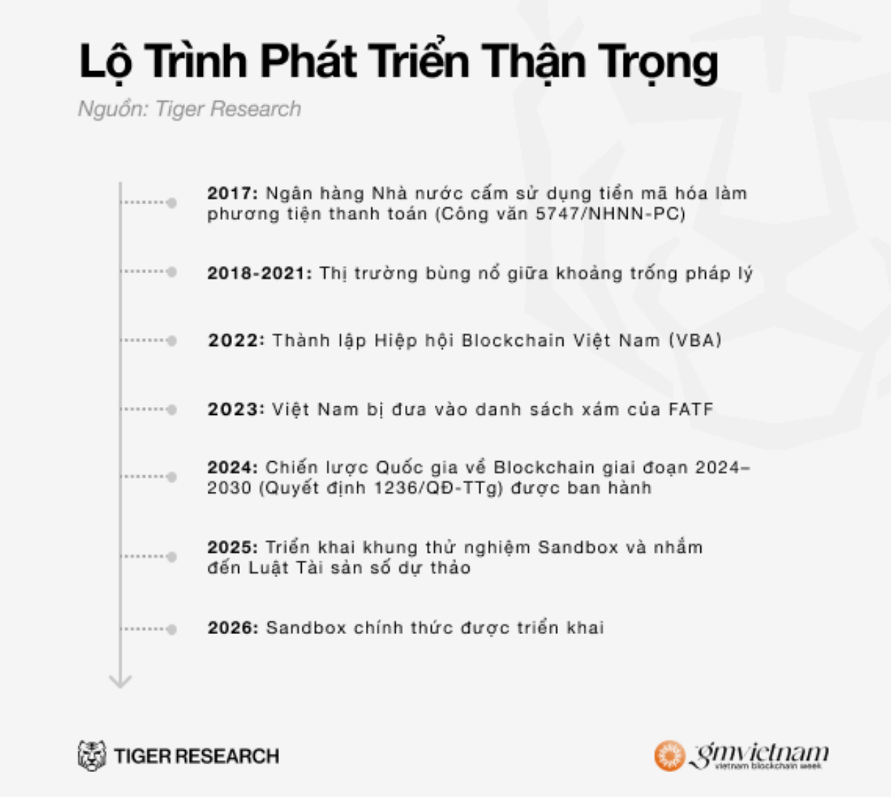 Việt Nam đang nổi lên như Việt Nam đang nổi lên như