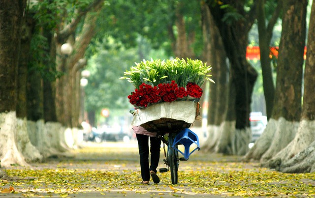 Báo Anh bất ngờ gọi tên điểm đến này của Việt Nam lọt top tuyệt nhất thế giới: Vượt cả Dubai, Bangkok- Ảnh 5. Báo Anh bất ngờ gọi tên điểm đến này của Việt Nam lọt top tuyệt nhất thế giới: Vượt cả Dubai, Bangkok- Ảnh 5.