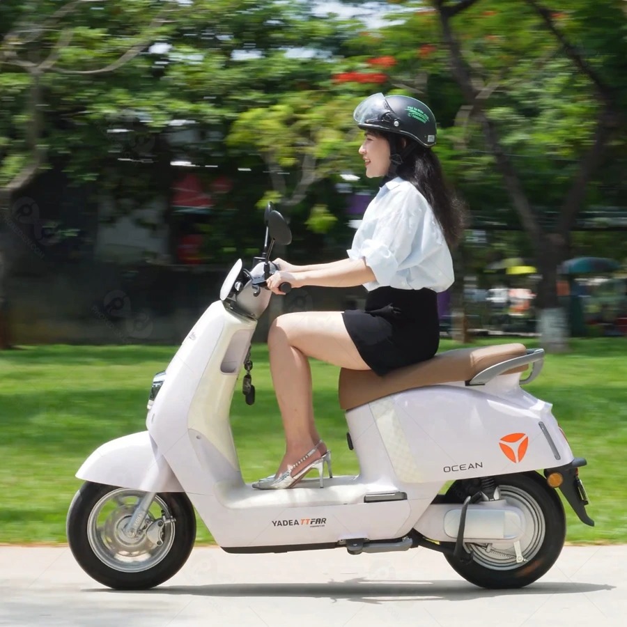 Xe máy điện tại Việt Nam: Miếng bánh không chỉ dành cho một thương hiệu- Ảnh 3. Xe máy điện tại Việt Nam: Miếng bánh không chỉ dành cho một thương hiệu- Ảnh 3.