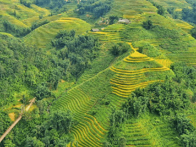 Nơi vắng vẻ nhiều người chưa biết ở Sa Pa, nhìn ảnh du khách nhận xét: "Đúng là cảnh đẹp trần gian!"- Ảnh 1. Nơi vắng vẻ nhiều người chưa biết ở Sa Pa, nhìn ảnh du khách nhận xét: "Đúng là cảnh đẹp trần gian!"- Ảnh 1.