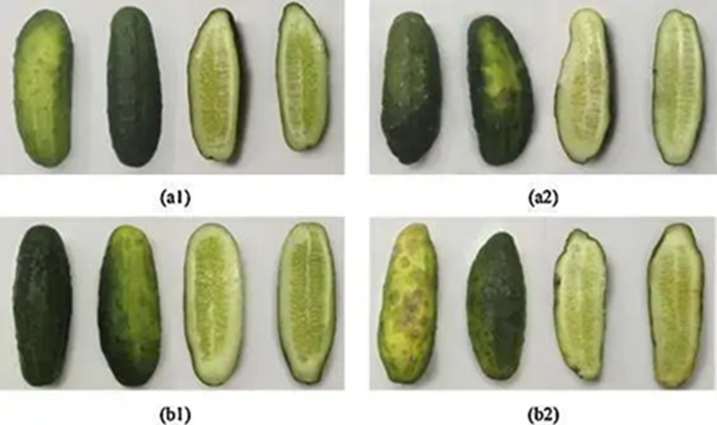 3 loại rau tuyệt đối không nên bỏ tủ lạnh nhưng nhiều người vẫn làm sai- Ảnh 1.