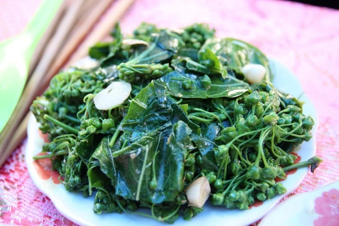 "Thần dược xanh" của người dân vùng núi Tây Bắc: Công dụng bất ngờ, bổ hơn cả uống vitamin tổng hợp- Ảnh 2. "Thần dược xanh" của người dân vùng núi Tây Bắc: Công dụng bất ngờ, bổ hơn cả uống vitamin tổng hợp- Ảnh 2.