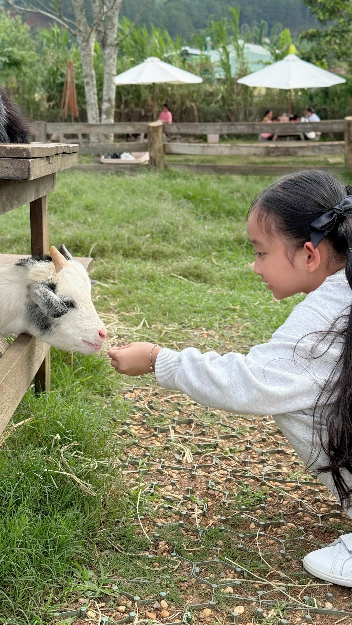 Một câu nói của con gái Khánh Thi tiết lộ góc khuất Một câu nói của con gái Khánh Thi tiết lộ góc khuất