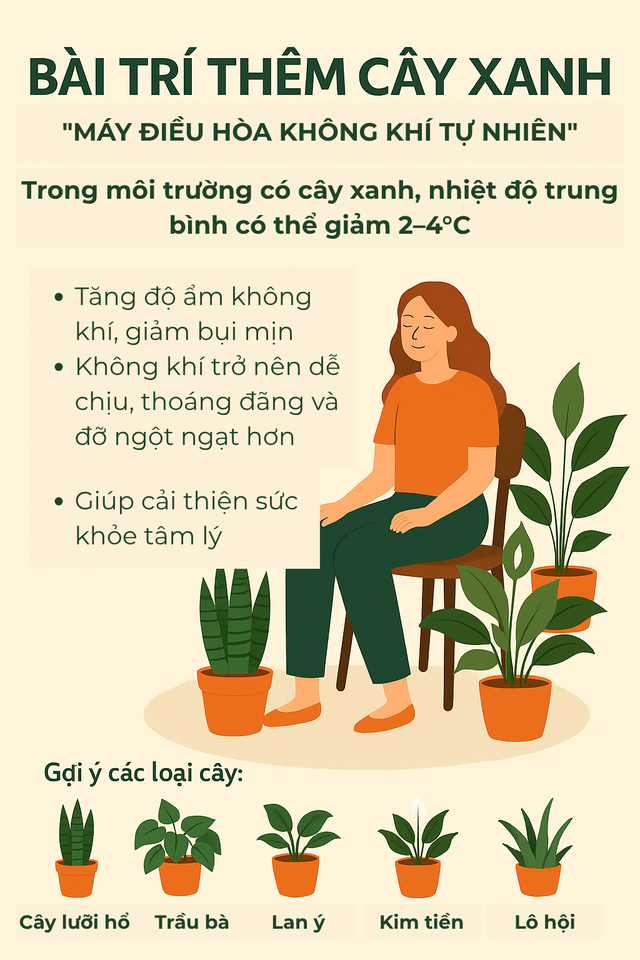 trồng cây xanh quanh nhà
