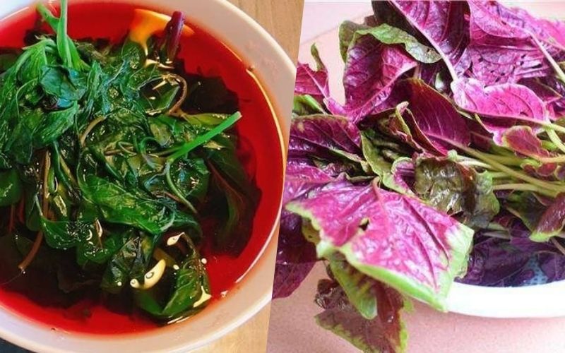 3 loại rau giải nhiệt mùa hè nên có trên mâm cơm mọi nhà trong những ngày nắng nóng cực gắt: Vừa giải nhiệt, bổ máu lại thanh lọc cơ thể- Ảnh 4.