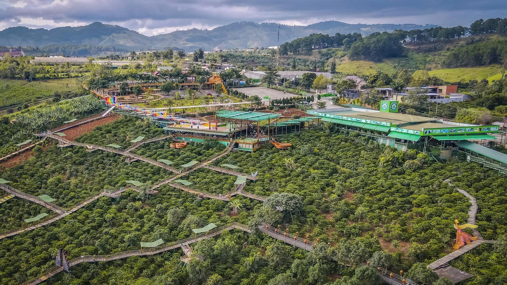 Du khách bất bình với giá cà phê 100.000 đồng ở Đà Lạt, lãnh đạo phường lên tiếng- Ảnh 2. Du khách bất bình với giá cà phê 100.000 đồng ở Đà Lạt, lãnh đạo phường lên tiếng- Ảnh 2.
