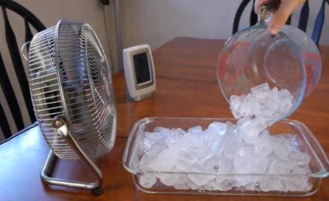 Nắng nóng chạm ngưỡng 40°C: Áp dụng những cách làm mát không tốn điện, nhiệt độ nhà giảm ngay 2-5 độ- Ảnh 4.