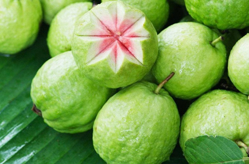 Mỹ đánh giá đây là loại quả có vitamin C gấp 21 lần táo: Không phải cam hay quýt, từ lá đến rễ đều là bài thuốc cực tốt cho đường huyết- Ảnh 1. Mỹ đánh giá đây là loại quả có vitamin C gấp 21 lần táo: Không phải cam hay quýt, từ lá đến rễ đều là bài thuốc cực tốt cho đường huyết- Ảnh 1.