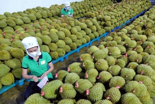 Lần đầu tiên mặt hàng xuất khẩu tỷ USD của Việt Nam có quy trình kiểm soát riêng- Ảnh 2.