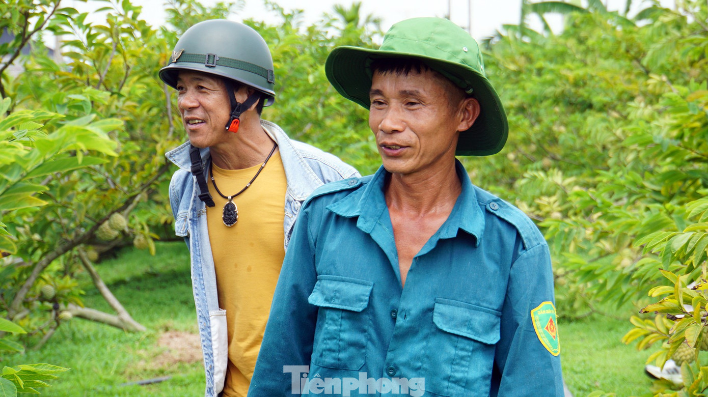 Mất mùa na đặc sản, nông dân Hải Phòng thất thu tiền tỷ- Ảnh 2.