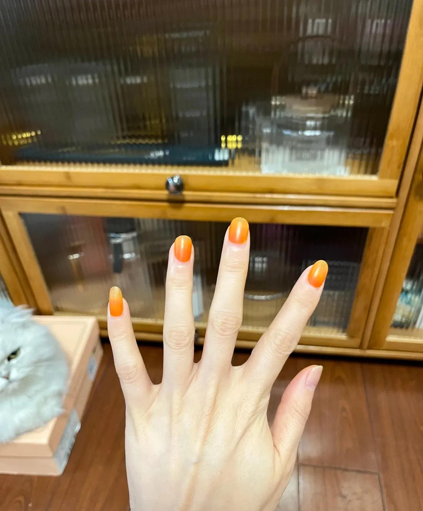 “Chi tiêu lười biếng” đang là xu hướng mới của giới trẻ: Mua hoa ít tiền, ít công chăm mà đẹp cả nhà, tốt cả sức khỏe- Ảnh 2.