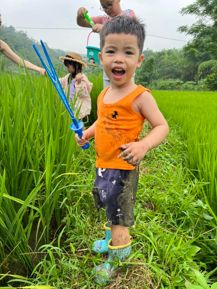 Cho 