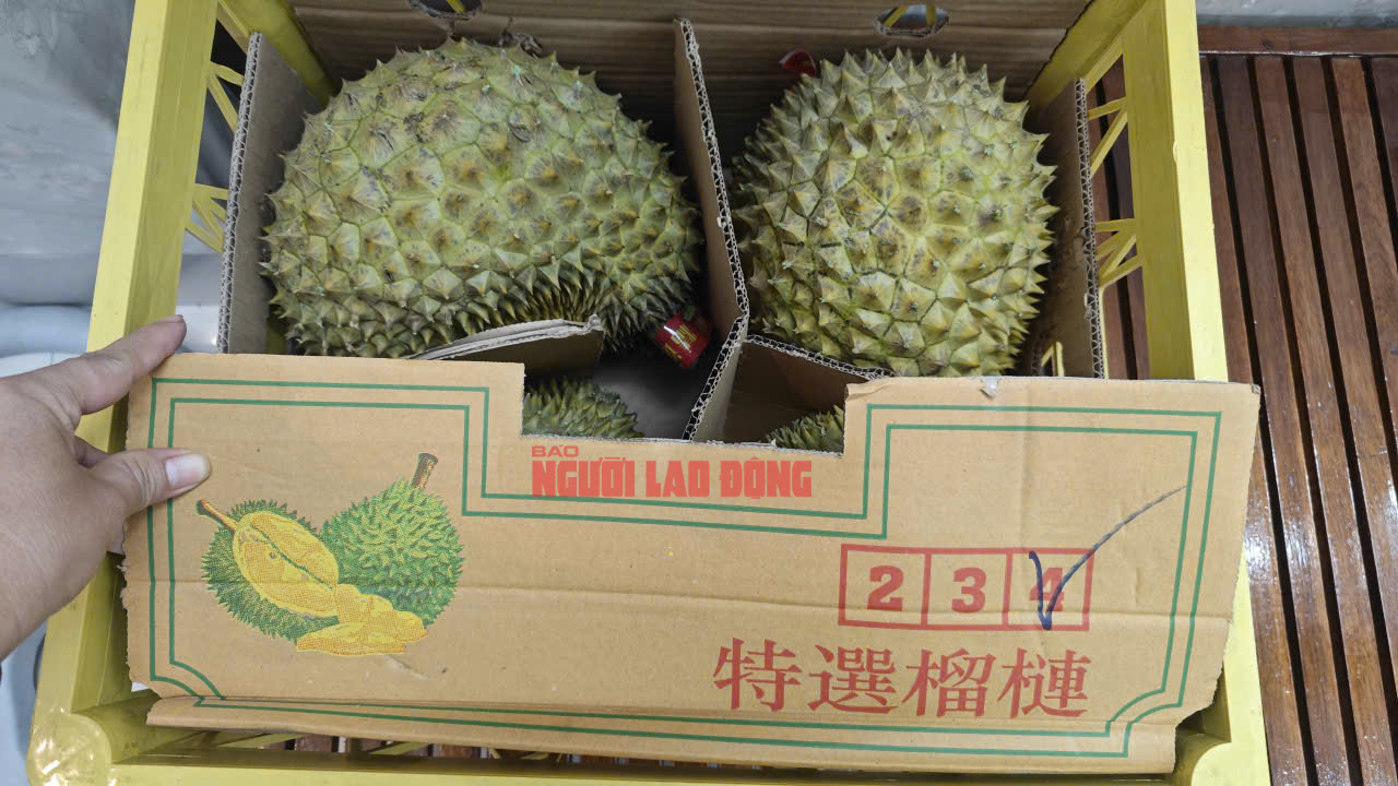 Sầu riêng quay đầu từ Trung Quốc sẽ phải kiểm vàng O trước khi tiêu thụ- Ảnh 1.
