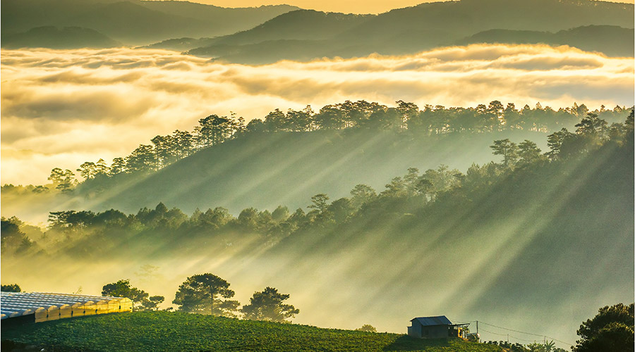 1 điểm đến duy nhất của Việt Nam được lọt Top “đẹp như châu Âu”: Khá gần TP.HCM, là điểm tránh nóng hot nhất trong hè- Ảnh 1.