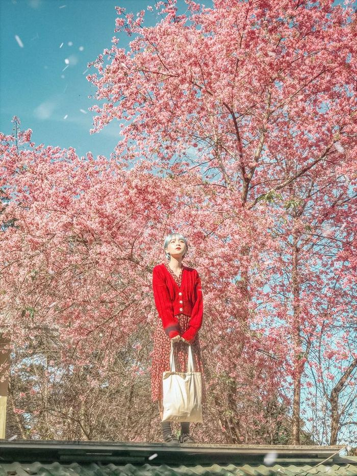 1 điểm đến duy nhất của Việt Nam được lọt Top “đẹp như châu Âu”: Khá gần TP.HCM, là điểm tránh nóng hot nhất trong hè- Ảnh 2.