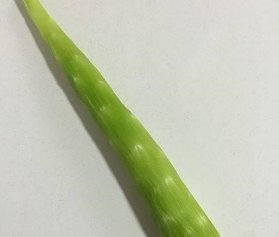 Loại rau được ví là 