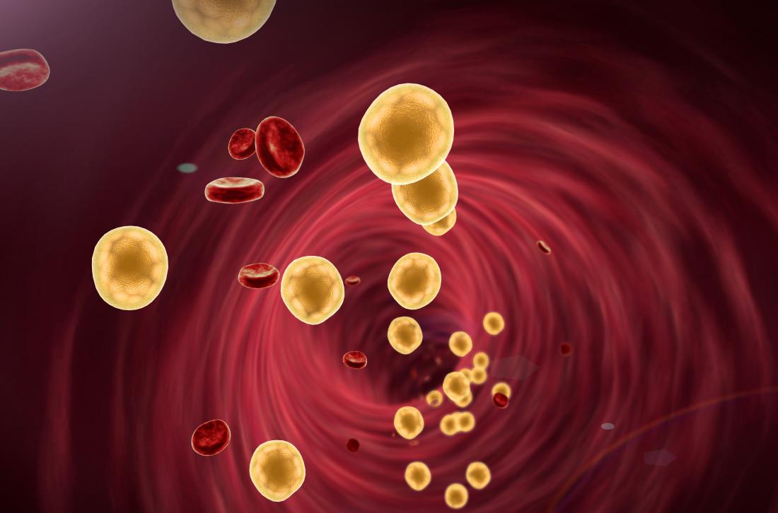 1 bộ phận của lợn chứa cực nhiều cholesterol: Nhiều người ra sức ăn để bồi bổ, ai ngờ "rước họa vào thân"- Ảnh 2. 1 bộ phận của lợn chứa cực nhiều cholesterol: Nhiều người ra sức ăn để bồi bổ, ai ngờ "rước họa vào thân"- Ảnh 2.