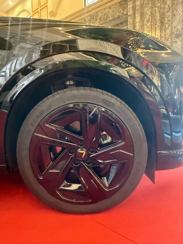 Limousine siêu sang của VinFast lộ thêm ảnh: Logo cánh chim vàng, vách ngăn như Rolls-Royce, ốp gỗ thật- Ảnh 5.