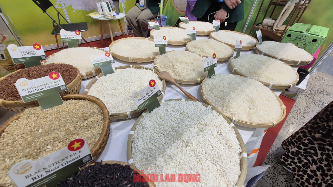 Vì sao Việt Nam chi 1 tỉ USD nhập khẩu gạo chỉ trong 7 tháng?- Ảnh 1. Vì sao Việt Nam chi 1 tỉ USD nhập khẩu gạo chỉ trong 7 tháng?- Ảnh 1.