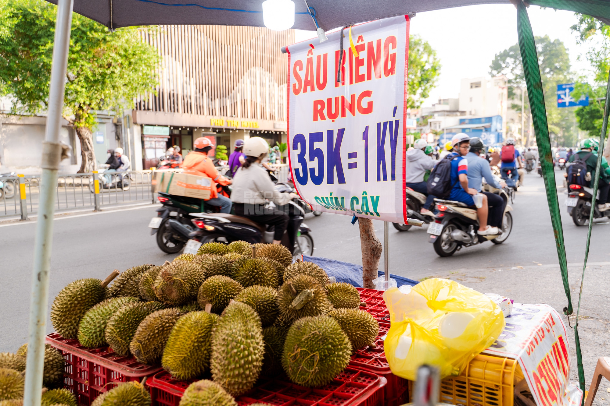 VIDEO: Thực hư sầu riêng giá 35.000 đồng/ký tại TP HCM- Ảnh 4.