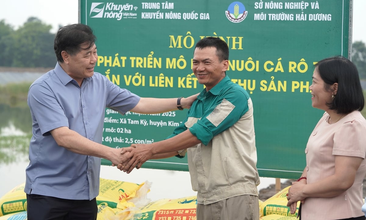 Ruộng hoang biến thành Ruộng hoang biến thành