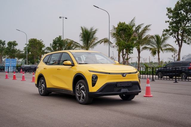 Đại gia Phú Thọ mua 10.000 xe điện VinFast Limo Green- Ảnh 3.