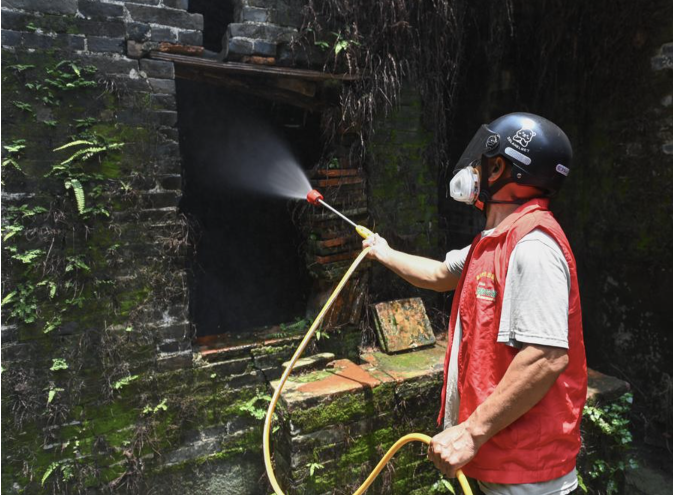 Trung Quốc "dốc toàn lực" dập dịch Chikungunya- Ảnh 1.