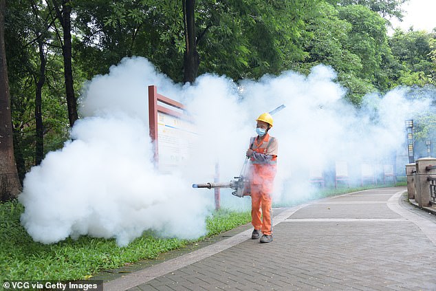 Dịch Chikungunya lan rộng: Hồng Kông (Trung Quốc) ghi nhận thêm ca mới, tất cả đều có chung một điểm- Ảnh 2.