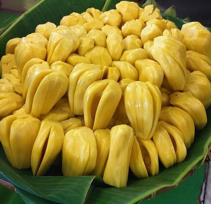 Bộ phận của quả mít được người Nhật "quý như vàng", người Việt ăn xong toàn ném bỏ: Có thể xóa mờ nếp nhăn, khỏe nội tạng, giảm đường huyết- Ảnh 2.