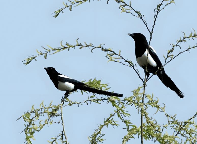 Ông bà dặn con cháu: 