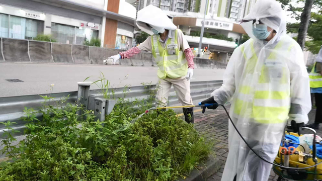 Dịch Chikungunya lan rộng: Hồng Kông (Trung Quốc) ghi nhận thêm ca mới, tất cả đều có chung một điểm- Ảnh 1.