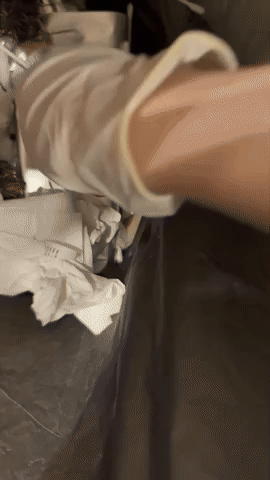 Ca sĩ Vbiz phải bới thùng rác tìm vàng, nhìn sang con heo tiết kiệm mà choáng- Ảnh 2.