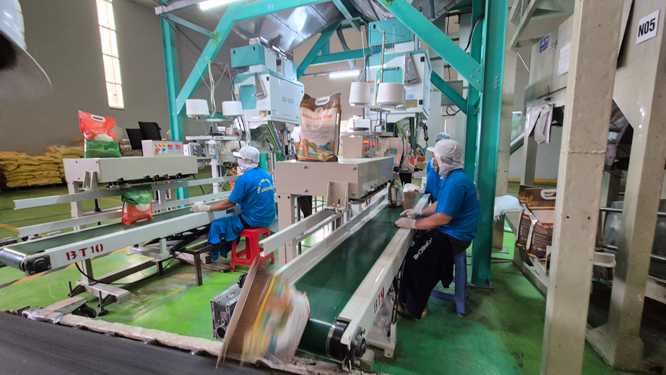 Xuất khẩu gạo không suôn sẻ- Ảnh 1.