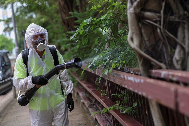 Toàn cảnh dịch Chikungunya lan rộng toàn cầu: Trung Quốc ghi nhận hơn 7.000 ca, Mỹ phát cảnh báo- Ảnh 1.