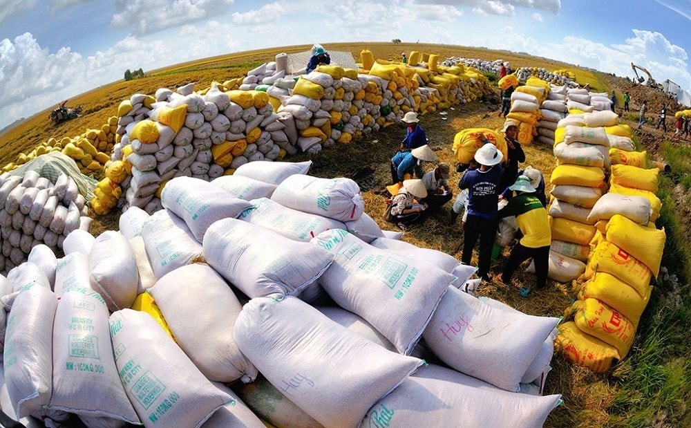 Gặp Chủ tịch nước, Tổng thống Angola đề nghị Việt Nam hỗ trợ trong lĩnh vực nuôi sống hơn 39 triệu dân- Ảnh 4.