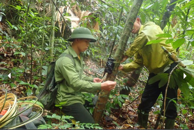Loài vật quý hiếm ngỡ đã tuyệt chủng bất ngờ trở lại sau gần 100 năm tại Việt Nam- Ảnh 5.