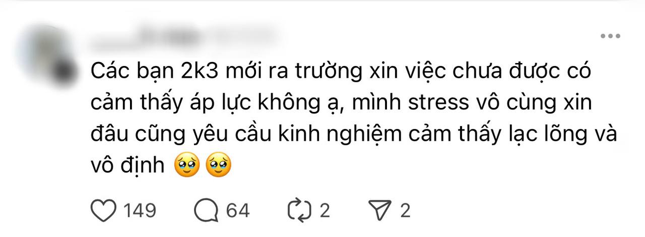 2k3 ra trường nhưng không thể kiếm việc- Ảnh 3.