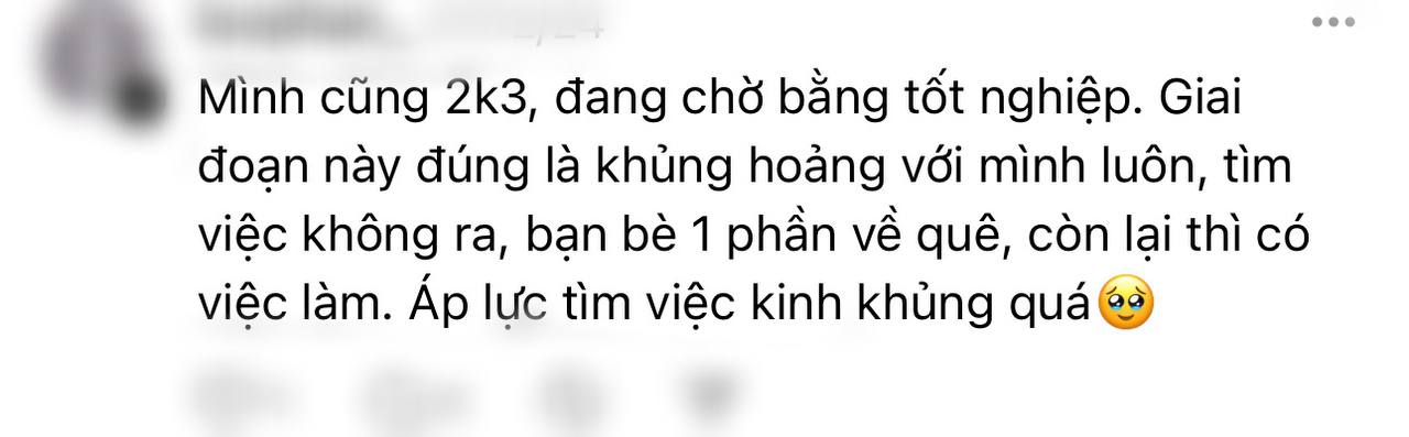 2k3 ra trường nhưng không thể kiếm việc- Ảnh 4.