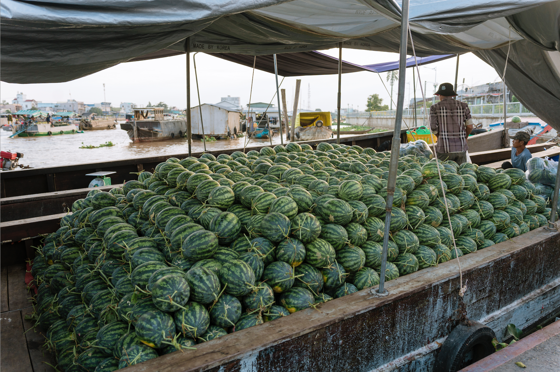 Từ cô bán hủ tiếu 40 năm trên chợ nổi Cái Răng: Bức tranh sống động về những người mưu sinh giữa sông nước- Ảnh 5.
