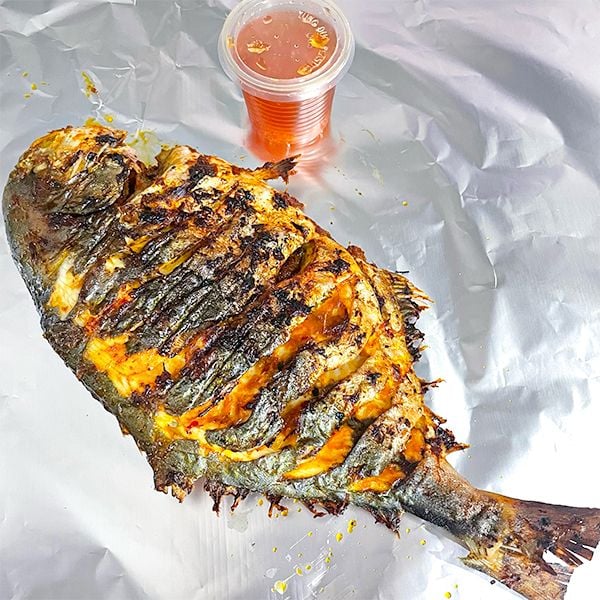 Loại cá trong danh sách 4 loại cá biển ngon nhất, được ví như "cá quý tộc": Ít xương dăm, cực dễ nấu- Ảnh 2.