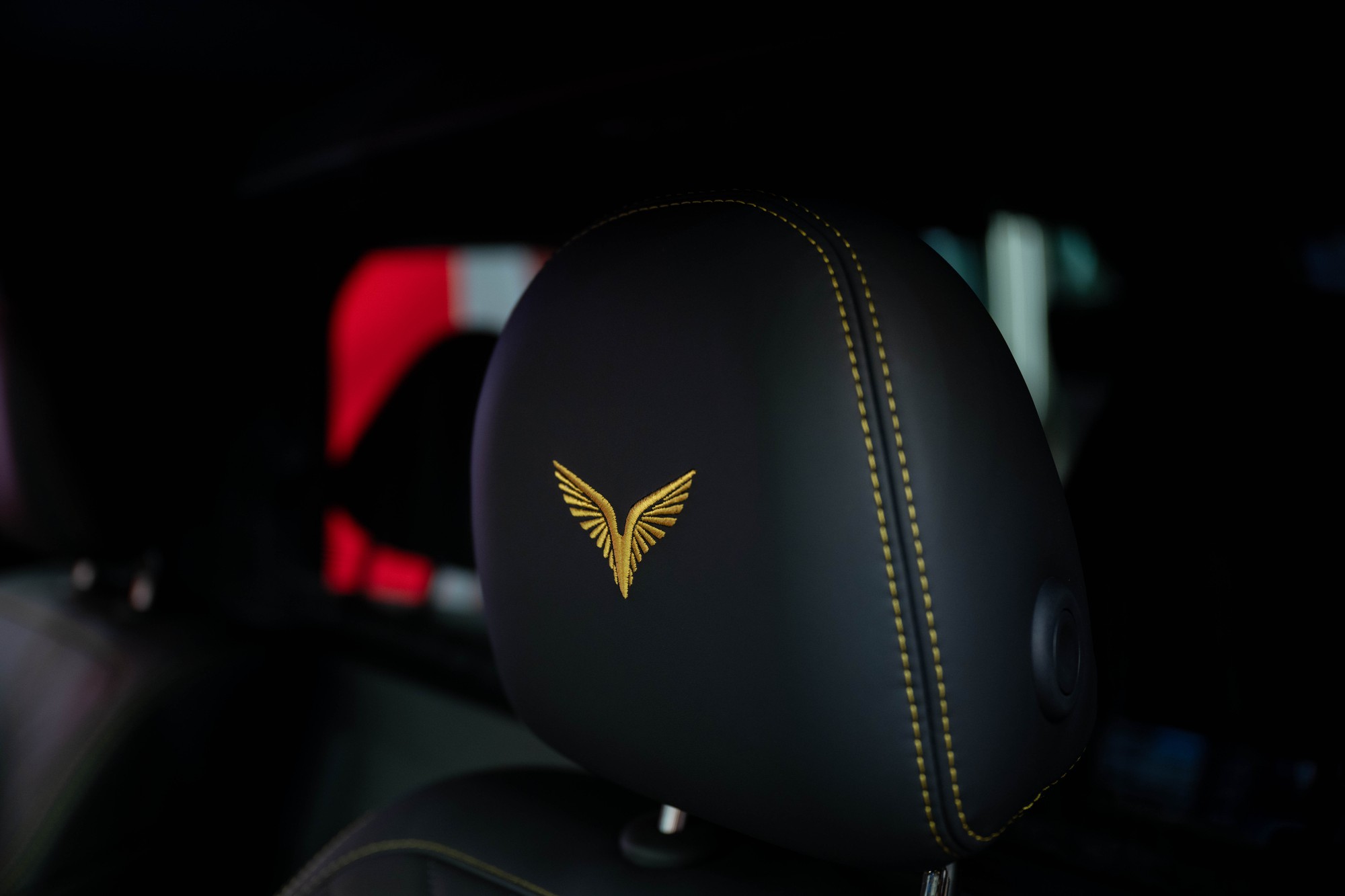 Cận cảnh “chuyên cơ mặt đất” Lạc Hồng 900 LX dành riêng để đưa đón nguyên thủ quốc tế- Ảnh 10.