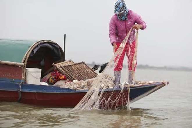 Loại cá được ví như "thuốc bổ từ biển", rẻ hơn cá hồi, cá ngừ nhưng nhiều chất không kém: Thịt béo, dễ nấu- Ảnh 3. Loại cá được ví như "thuốc bổ từ biển", rẻ hơn cá hồi, cá ngừ nhưng nhiều chất không kém: Thịt béo, dễ nấu- Ảnh 3.