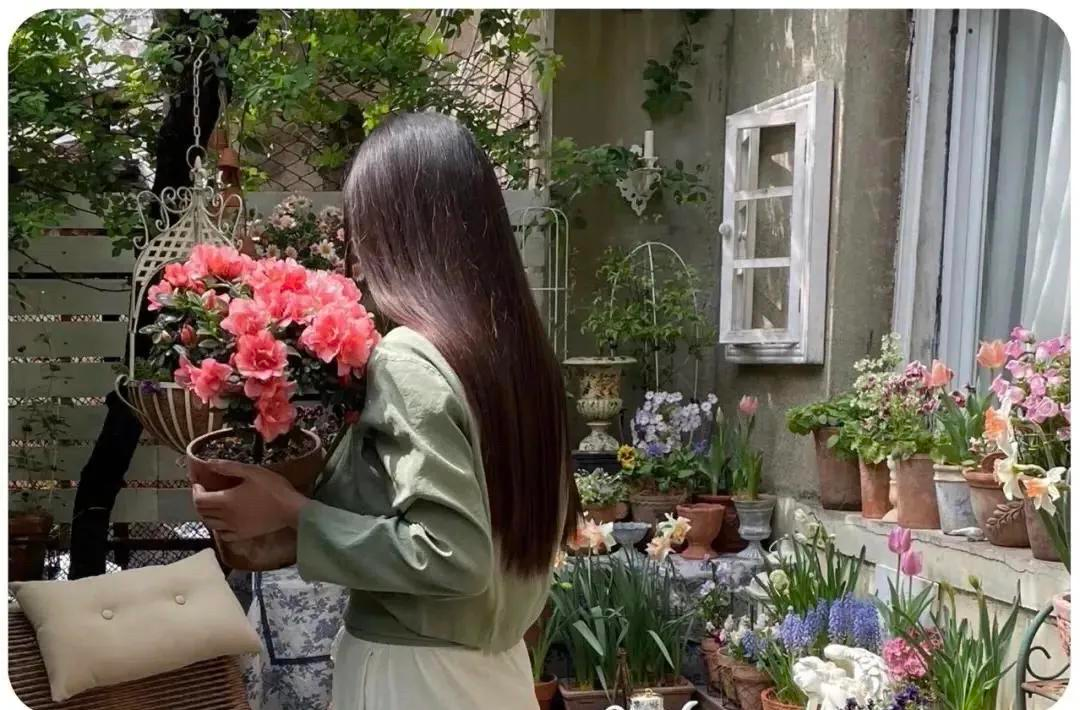 Góc sân nhỏ gây sốt: Ngập tràn hoa lá, đẹp như tiên cảnh khiến cư dân mạng thốt lên “không thể là ảnh dàn dựng!”- Ảnh 5. Góc sân nhỏ gây sốt: Ngập tràn hoa lá, đẹp như tiên cảnh khiến cư dân mạng thốt lên “không thể là ảnh dàn dựng!”- Ảnh 5.
