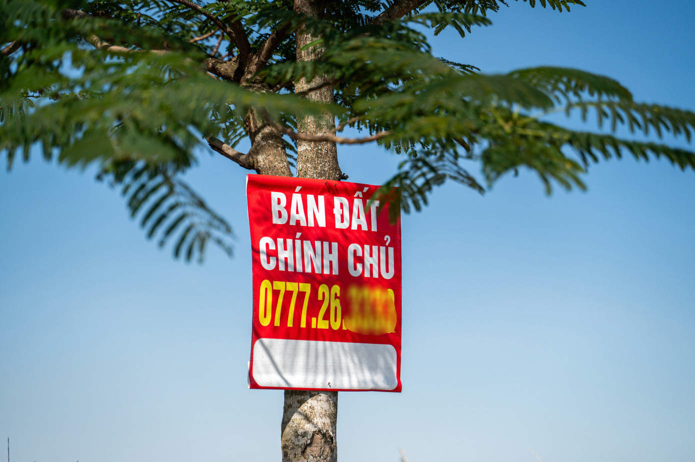 Ra tối hậu thư những dự án ‘đắp chiếu’ của Công ty CP Xây dựng công trình 507 ở Quảng Ninh- Ảnh 10. Ra tối hậu thư những dự án ‘đắp chiếu’ của Công ty CP Xây dựng công trình 507 ở Quảng Ninh- Ảnh 10.
