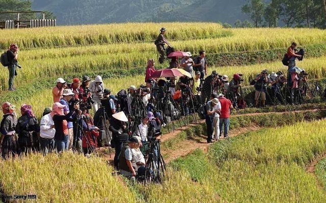 Ngọn đồi ở Mù Cang Chải là điểm ngắm mùa lúa chín siêu thực: Du khách nhận xét "Nhất định phải đến!"- Ảnh 4. Ngọn đồi ở Mù Cang Chải là điểm ngắm mùa lúa chín siêu thực: Du khách nhận xét "Nhất định phải đến!"- Ảnh 4.