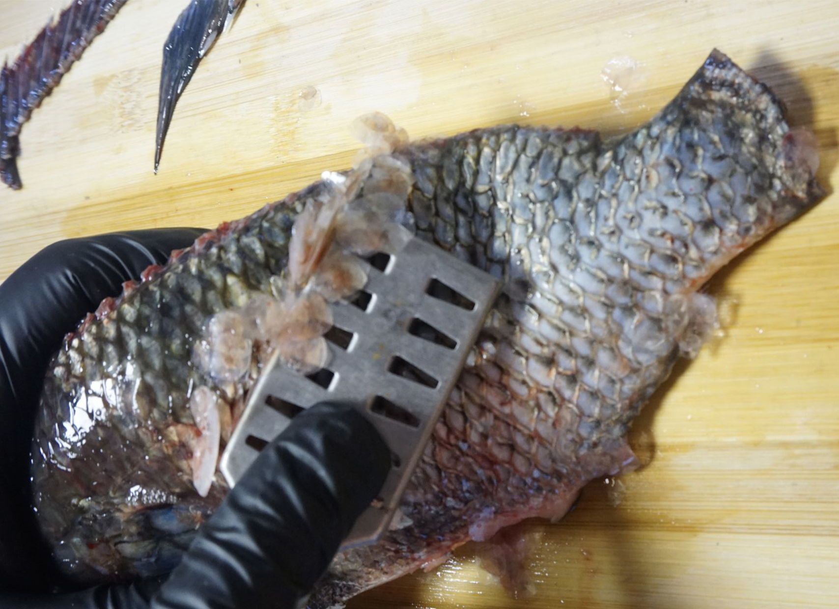 3 bộ phận của cá "quý như vàng" nhưng nhiều người không biết mà ăn, thường vứt vào THÙNG RÁC- Ảnh 3.