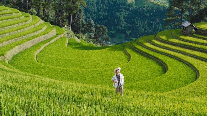 Ngọn đồi ở Mù Cang Chải là điểm ngắm mùa lúa chín siêu thực: Du khách nhận xét "Nhất định phải đến!"- Ảnh 5. Ngọn đồi ở Mù Cang Chải là điểm ngắm mùa lúa chín siêu thực: Du khách nhận xét "Nhất định phải đến!"- Ảnh 5.