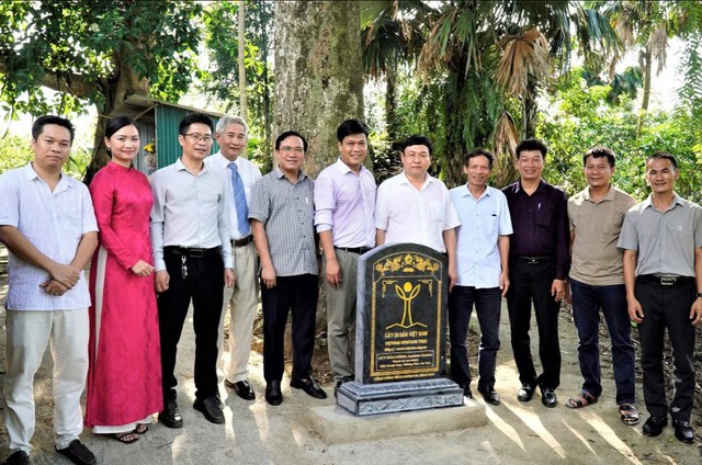 Hai 'báu vật sống' hơn 200 năm tuổi ở Hà Tĩnh: Trị giá trăm tỷ, nay chính thức trở thành Di sản Việt Nam- Ảnh 1.