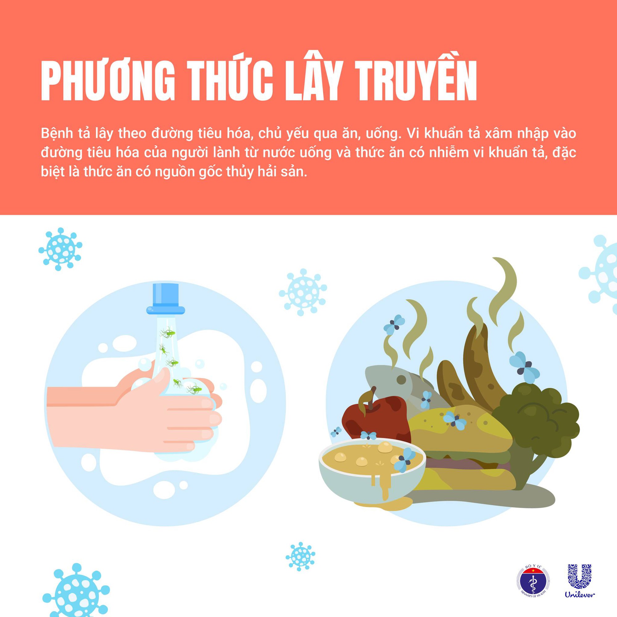 Bệnh tả trên thế giới đang phức tạp: Bộ Y tế thông tin và khuyến cáo- Ảnh 4. Bệnh tả trên thế giới đang phức tạp: Bộ Y tế thông tin và khuyến cáo- Ảnh 4.